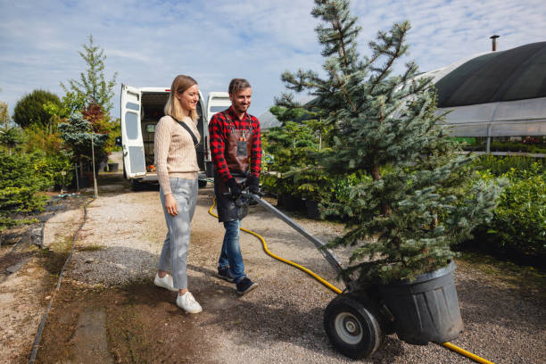 Ash Grove, MO Tree Removal Company